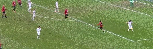 动画 (883).gif